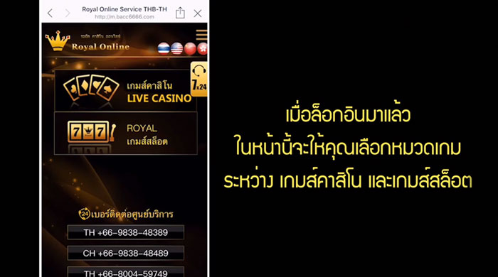 live Casino or royal Slot