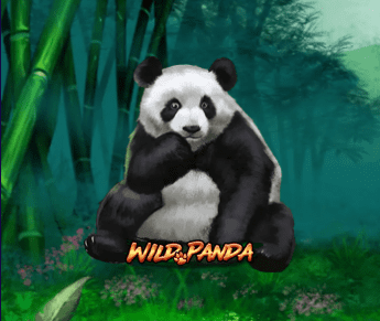 รีวิวเกม Wild Panda Slot เกมสล็อตแพนด้าป่าไผ่
