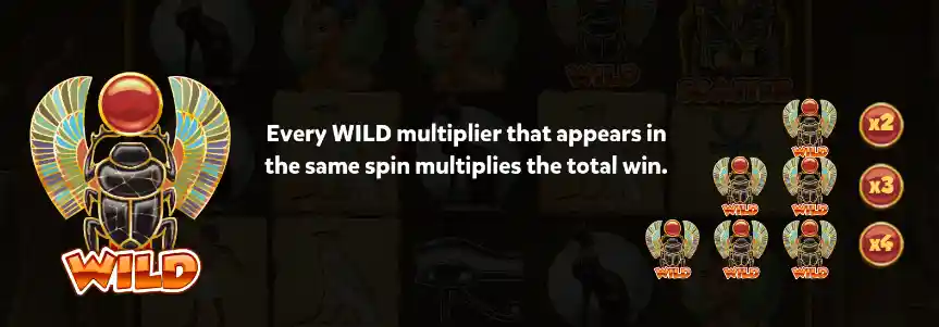 Multiplier Wild
