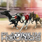 Platinum Hounds